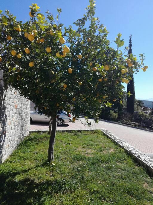 Nafplio, Hill With An Amazing View Apartamento Exterior foto